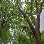 6 Person In Oksbol-by Traum 度假居 *