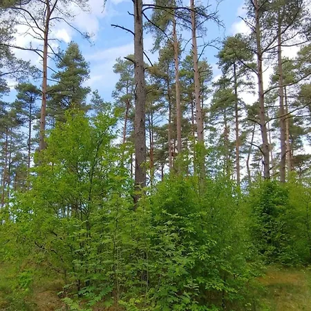 6 Person In Oksbol-by Traum Сasa de vacaciones *
