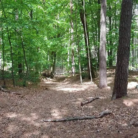 6 Person In Oksbol-by Traum *