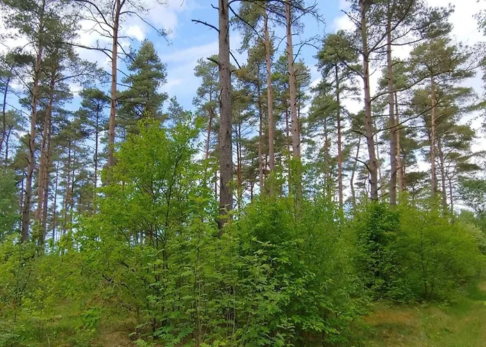 6 Person In Oksbol-by Traum Сasa de vacaciones *